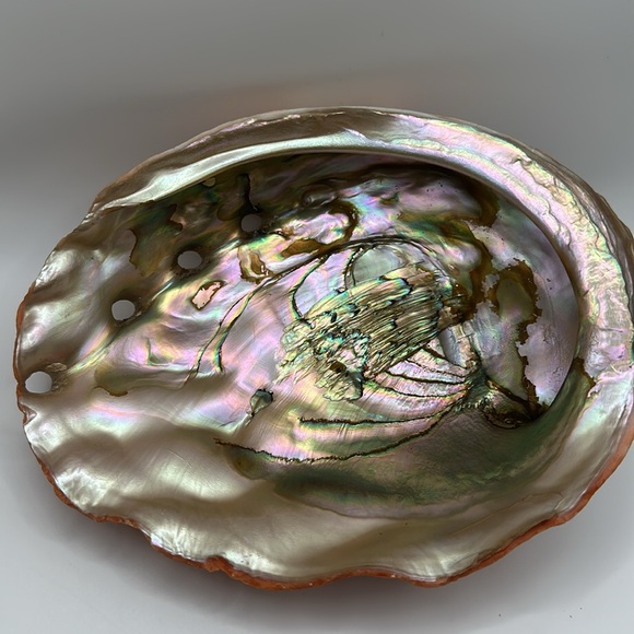 Vintage Red Abalone Shell. Excellent luster. Collector piece. - Picture 1 of 12